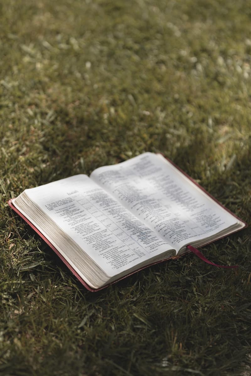 an open book sitting on top of a lush green field